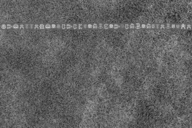 Intellecta Monograms Random Samples Five Font examples