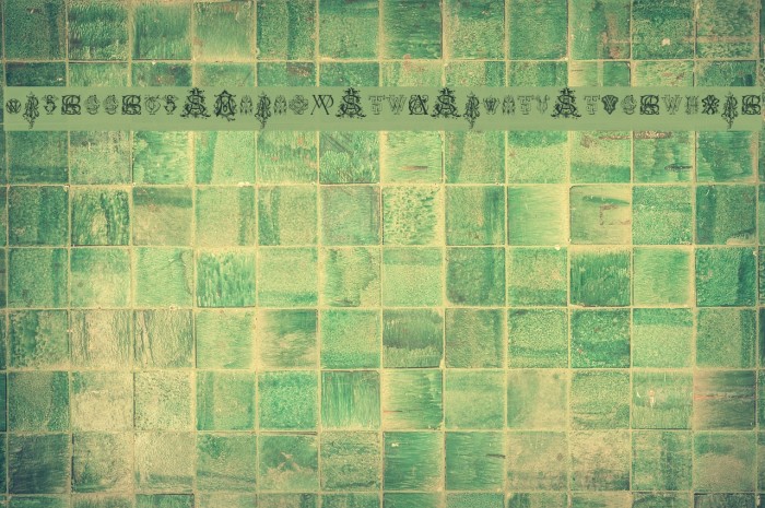 Intellecta Monograms Random Samples Nine Font examples