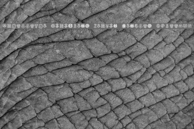 Intellecta Monograms Random Samples Three.vfb Font examples