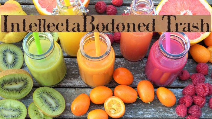 IntellectaBodoned Trash Font examples