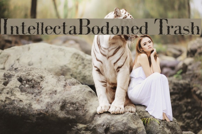 IntellectaBodoned Trash Font examples