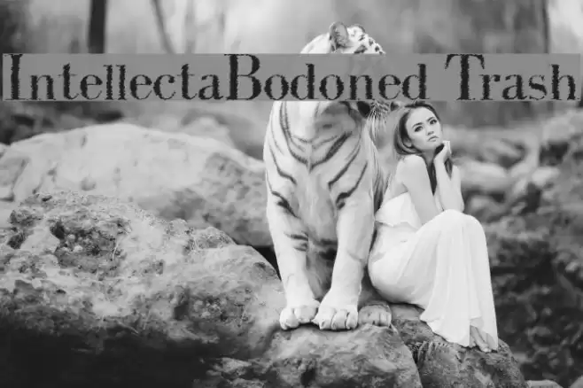 IntellectaBodoned Trash Schriftart examples