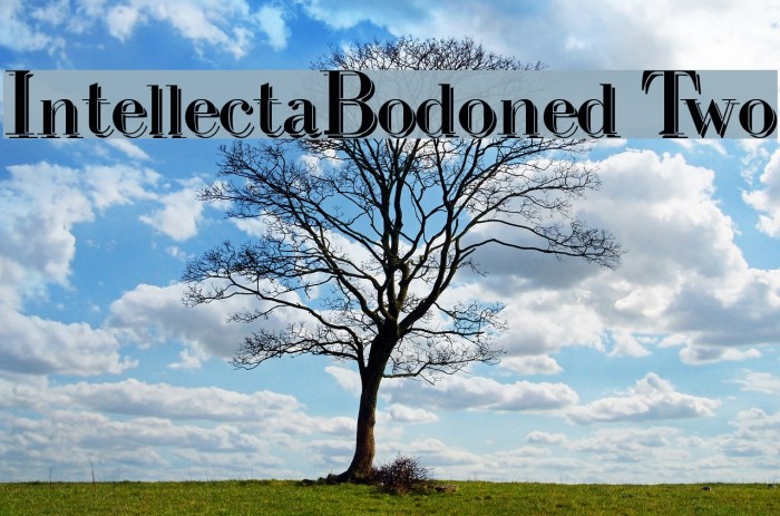 IntellectaBodoned Two Font examples