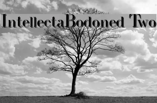 IntellectaBodoned Two Schriftart examples