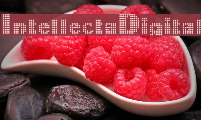 IntellectaDigital Font examples