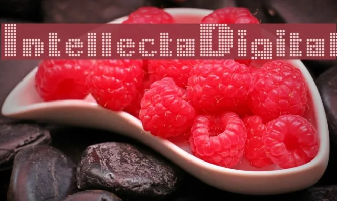 IntellectaDigital Example 1