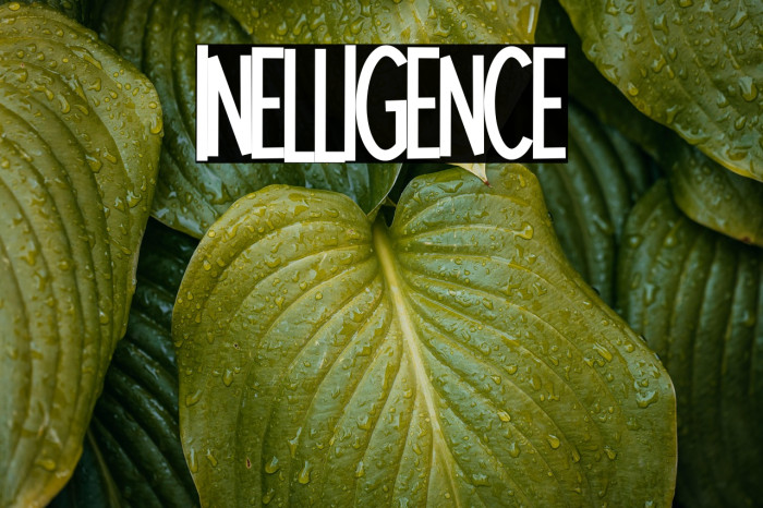 Intelligence Example 1