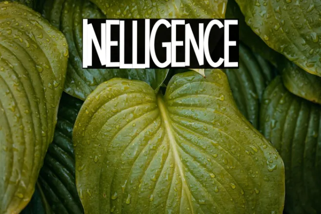 Intelligence Example 1