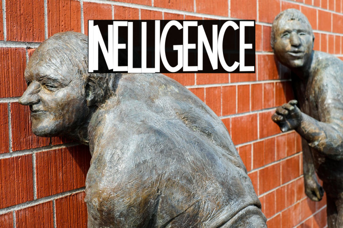 Intelligence Example 3