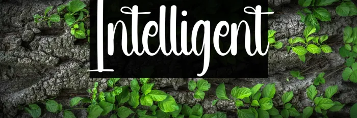 Intelligent Example 1