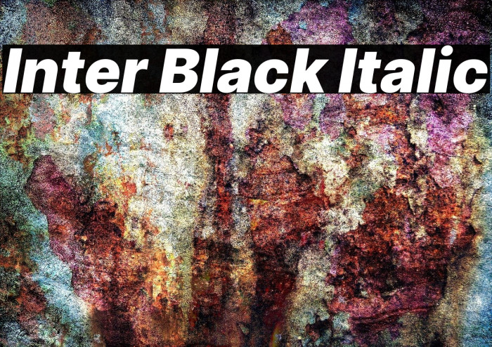 Inter Black Italic Font examples