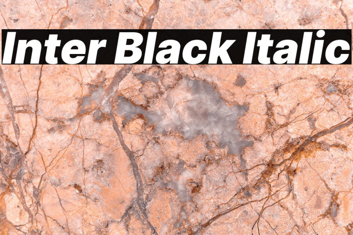 Inter Black Italic Font examples