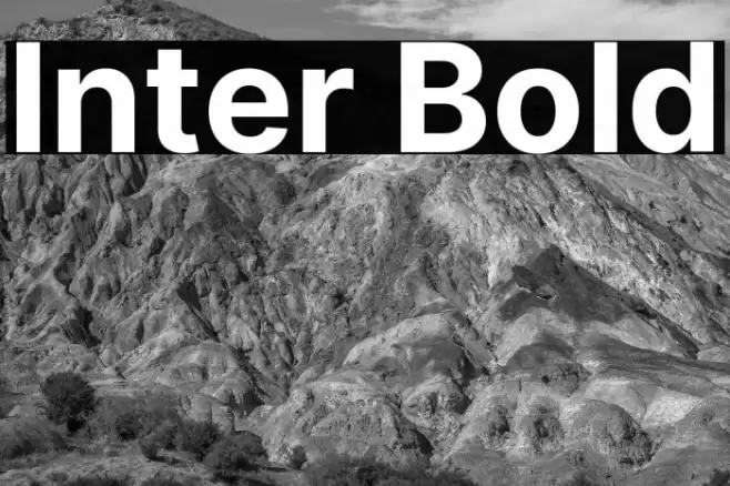 Inter Bold Font examples
