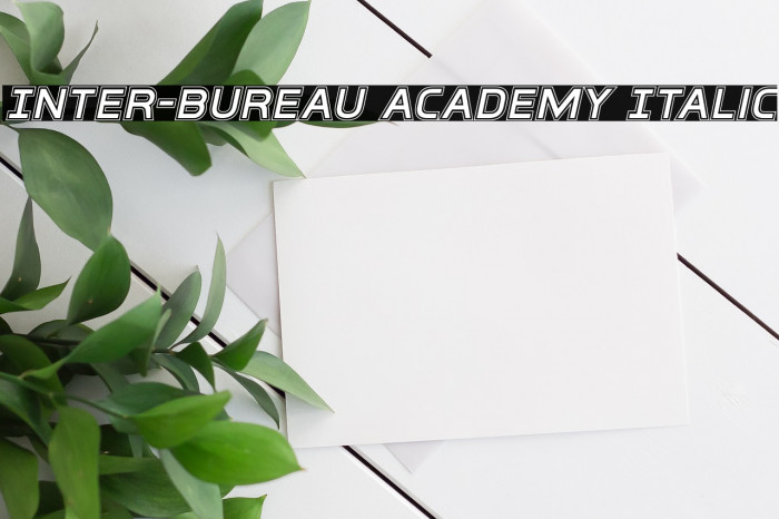 Inter-Bureau Academy Italic Font examples