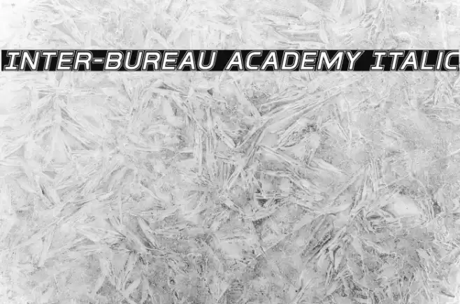 Inter-Bureau Academy Italic Fonte examples