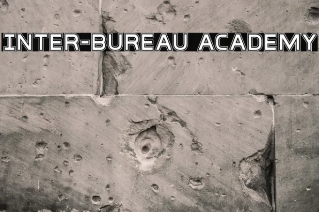 Inter-Bureau Academy Example 2