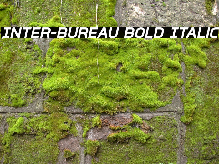 Inter-Bureau Bold Italic Example 1