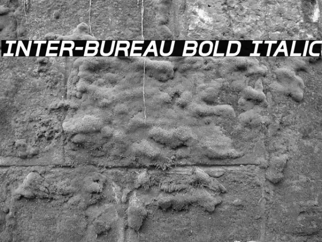 Inter-Bureau Bold Italic Font examples