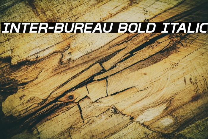 Inter-Bureau Bold Italic Example 2