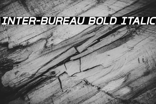 Inter-Bureau Bold Italic Font examples