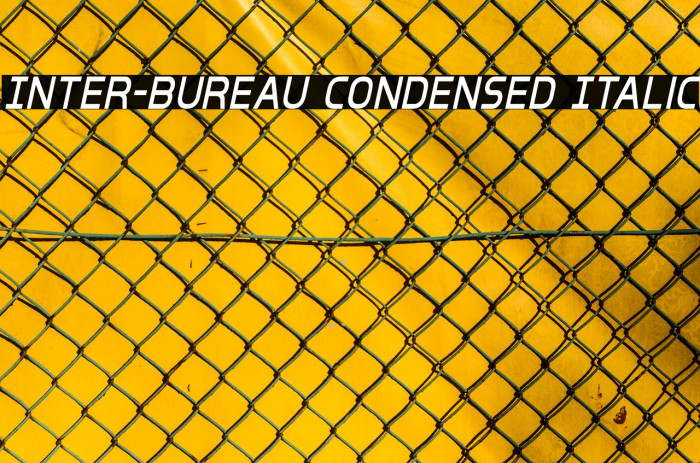 Inter-Bureau Condensed Italic Font examples