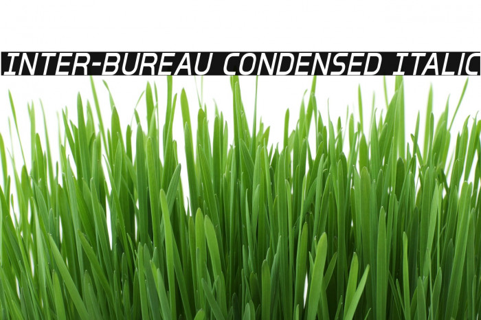 Inter-Bureau Condensed Italic Font examples