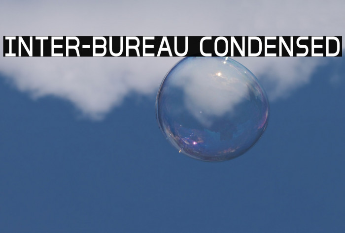 Inter-Bureau Condensed Fuentes examples