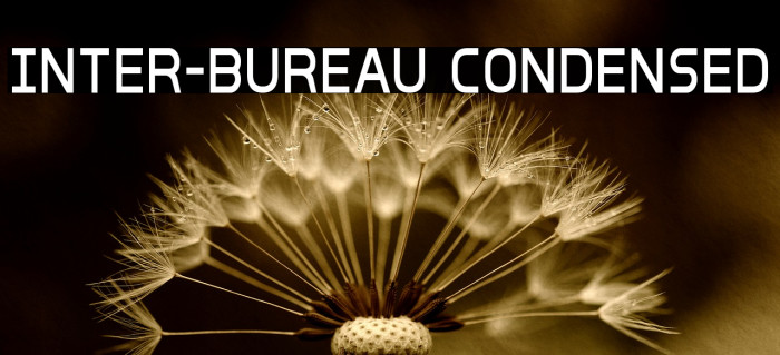Inter-Bureau Condensed Fuentes examples