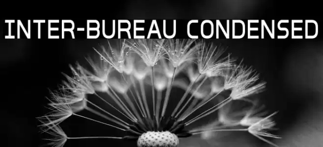 Inter-Bureau Condensed Font examples