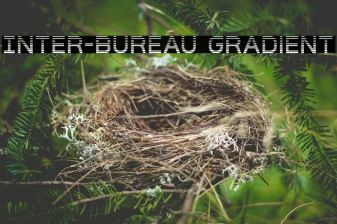 Inter-Bureau Gradient Example 3