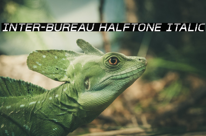 Inter-Bureau Halftone Italic Font examples