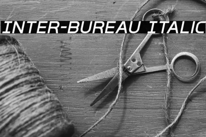 Inter-Bureau Italic Caratteri examples