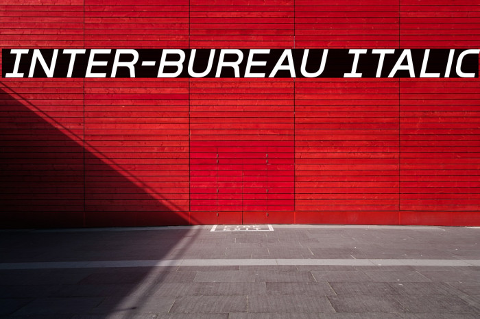Inter-Bureau Italic Caratteri examples