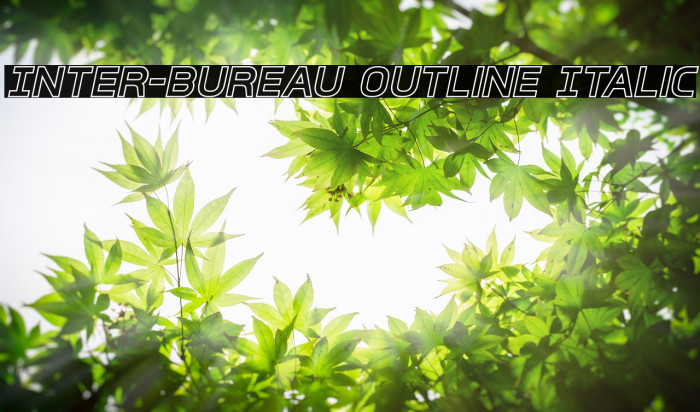 Inter-Bureau Outline Italic Font examples