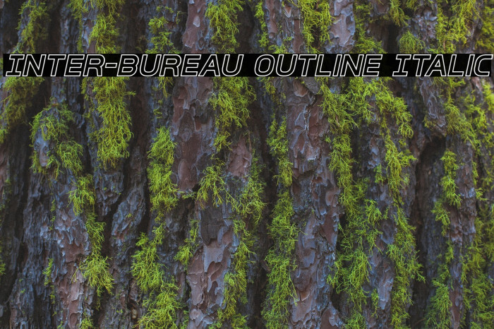 Inter-Bureau Outline Italic Font examples
