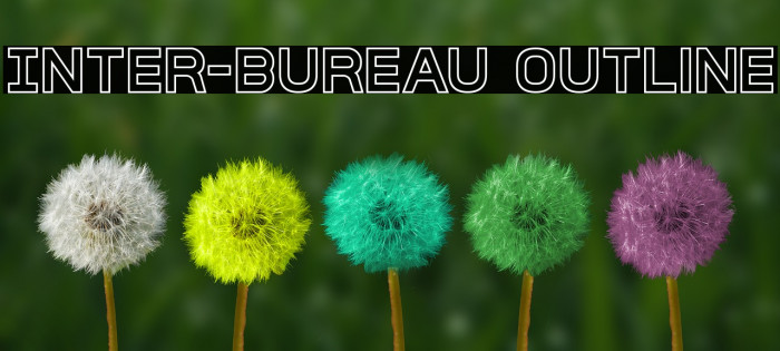 Inter-Bureau Outline 字体 examples