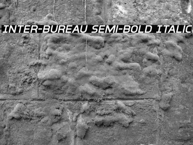 Inter-Bureau Semi-Bold Italic Fonte examples
