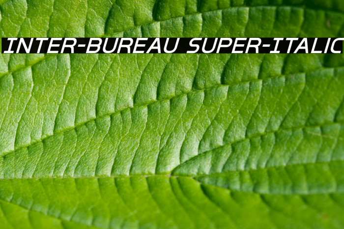 Inter-Bureau Super-Italic Font examples