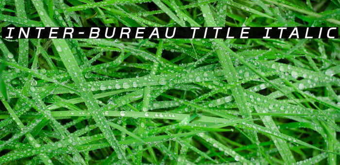 Inter-Bureau Title Italic Font examples