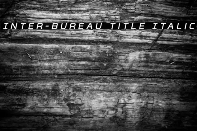 Inter-Bureau Title Italic Font examples