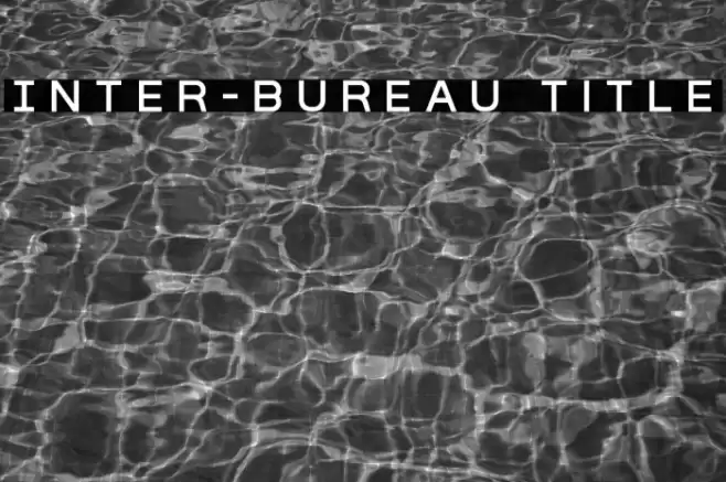 Inter-Bureau Title Polices examples