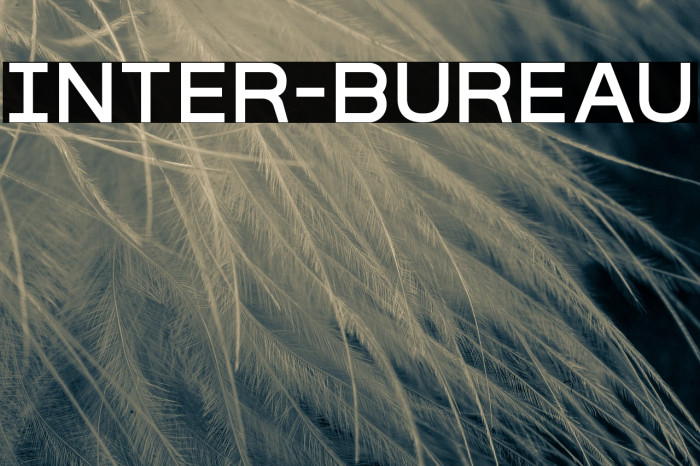 Inter-Bureau Font examples