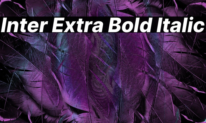 Inter Extra Bold Italic Font examples