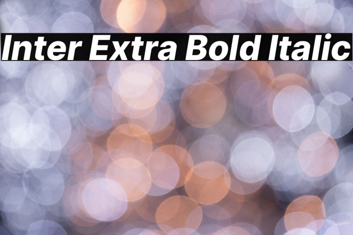 Inter Extra Bold Italic Font examples