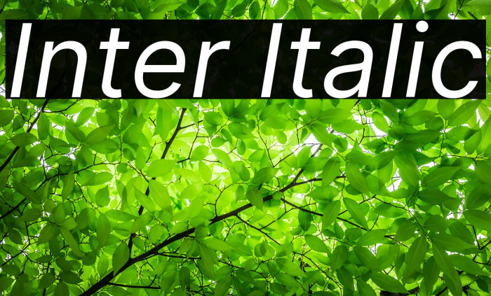 Inter Italic Font examples