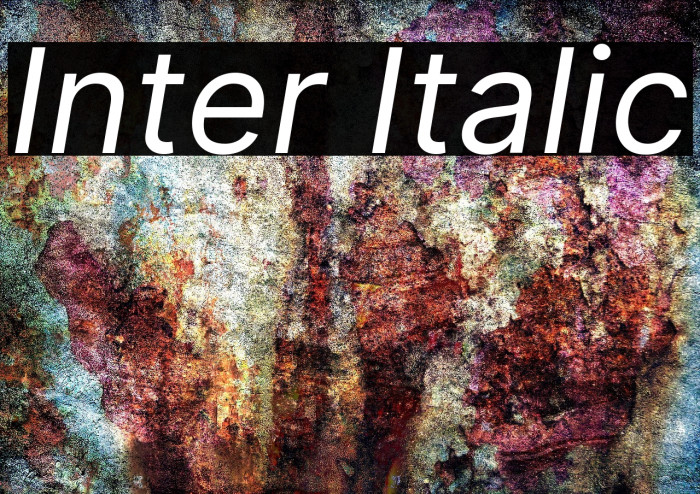 Inter Italic Font examples