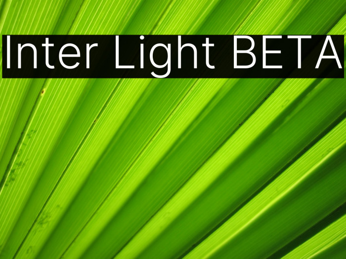 Inter Light BETA Font examples