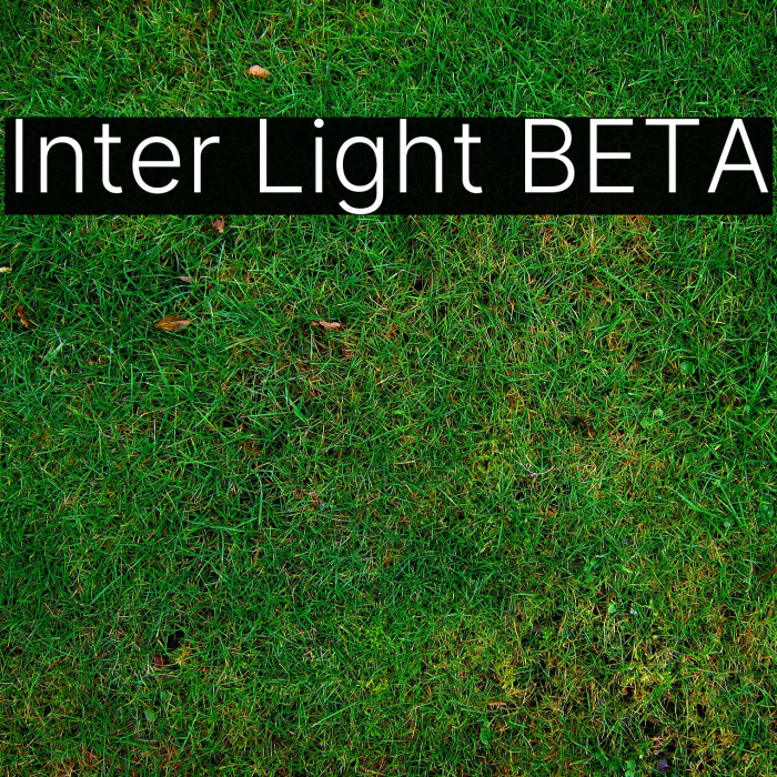Inter Light BETA Font examples