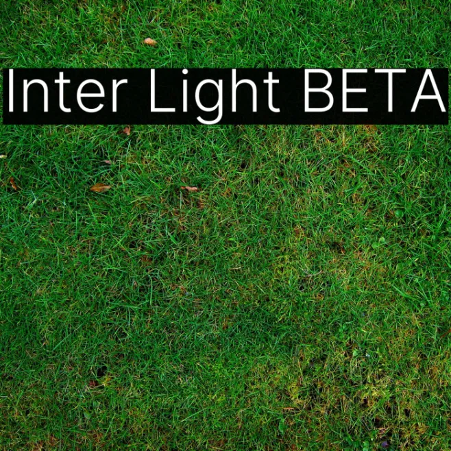 Inter Light BETA Example 3