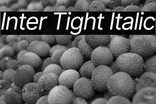 Inter Tight Italic Font examples